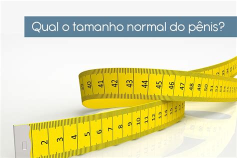 maior penis|Tamanho do pênis humano – Wikipédia, a enciclopédia livre